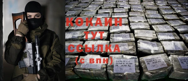 хмурый Кодинск