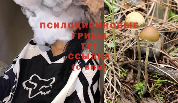 таблы Козловка