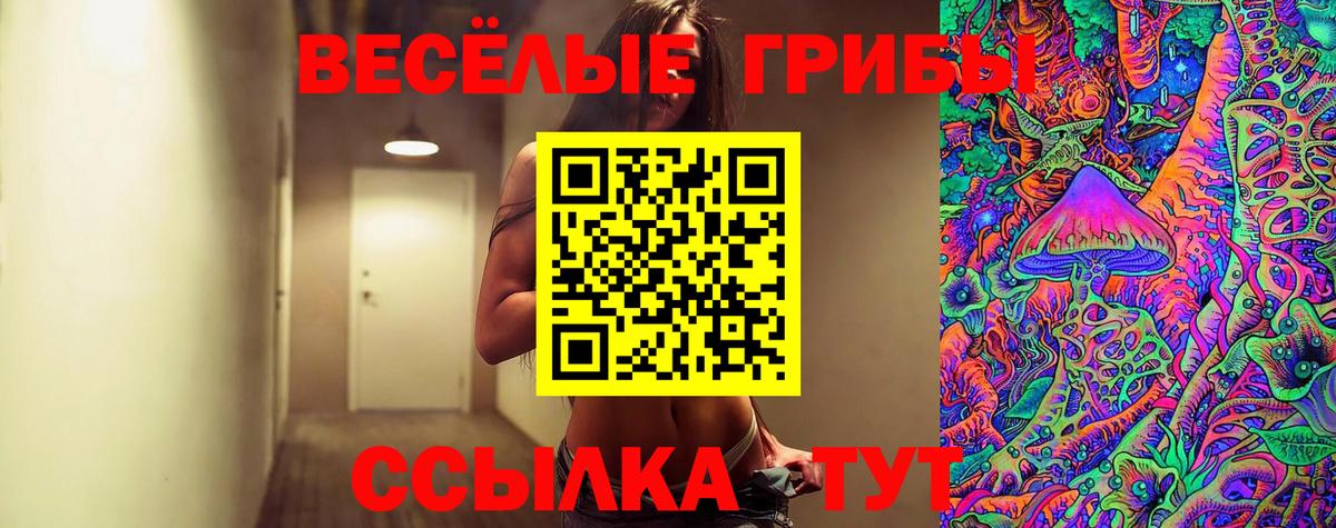 Псилоцибиновые грибы Cubensis Ставрополь