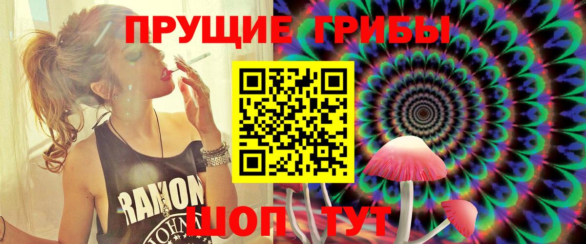 Ставрополь  Псилоцибиновые грибы прущие грибы  Вход с VPN  Псилоцибиновые грибы мицелий 